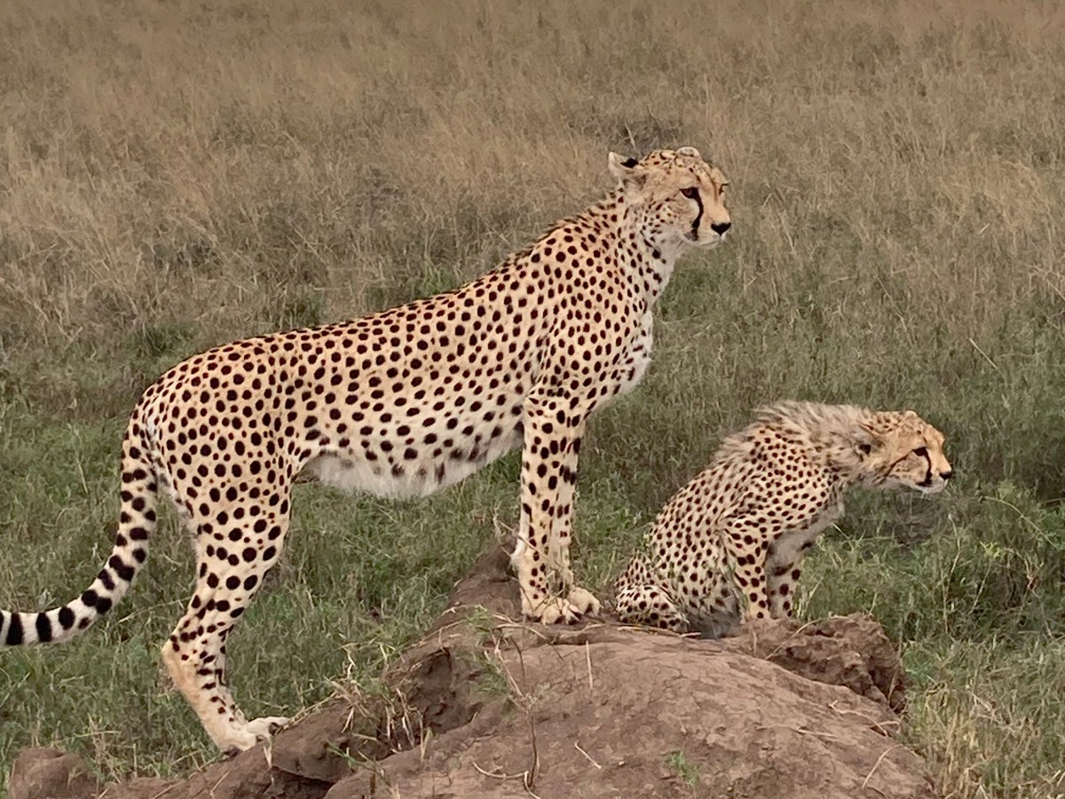 Tanzanie – Novembre&nbsp;2022