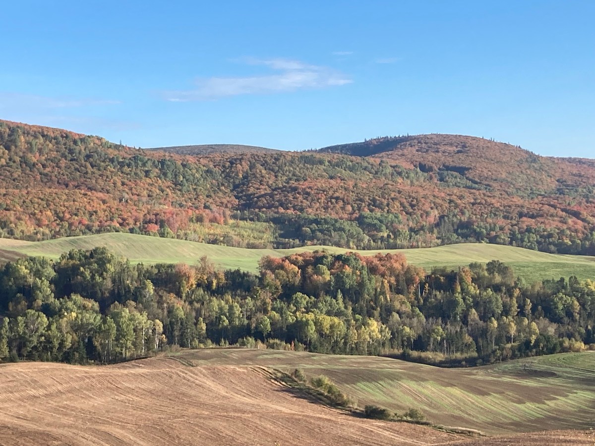 CANADA – Septembre Octobre&nbsp;2024